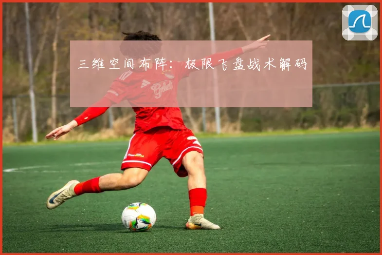 三维空间布阵：极限飞盘战术解码