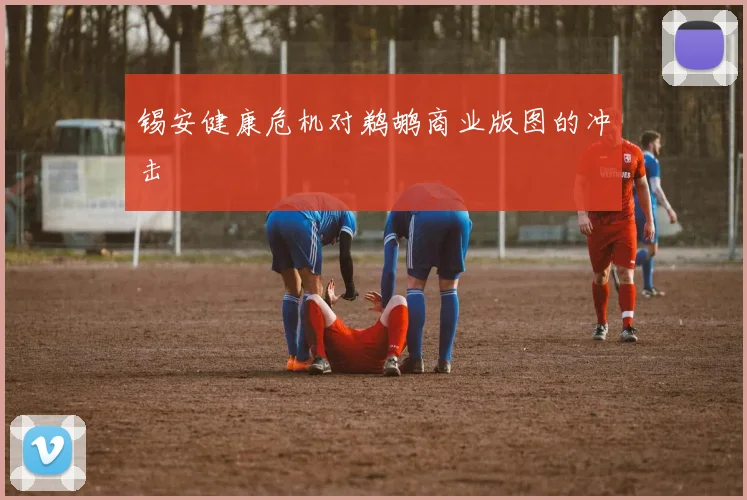 锡安健康危机对鹈鹕商业版图的冲击
