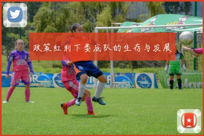 政策红利下娄底队的生存与发展