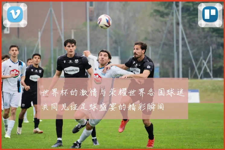 世界杯的激情与荣耀世界各国球迷共同见证足球盛宴的精彩瞬间