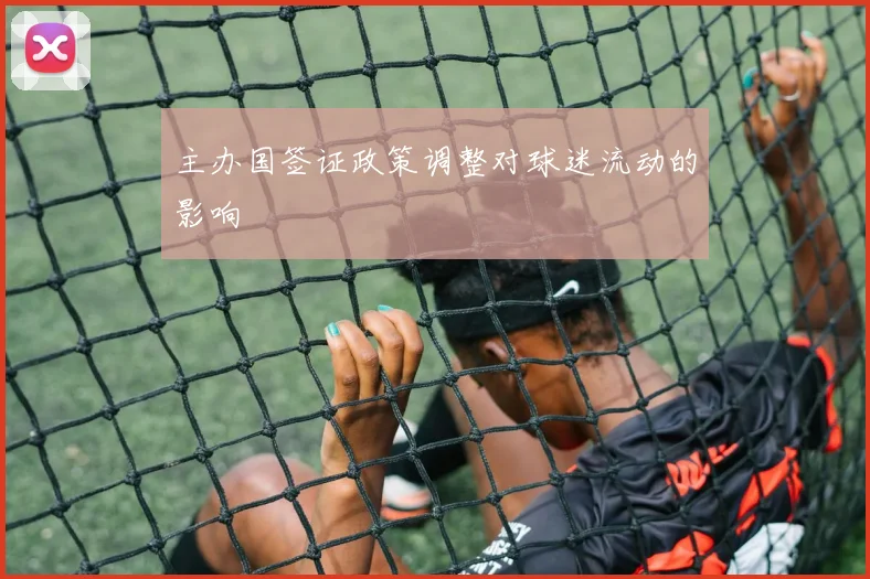主办国签证政策调整对球迷流动的影响
