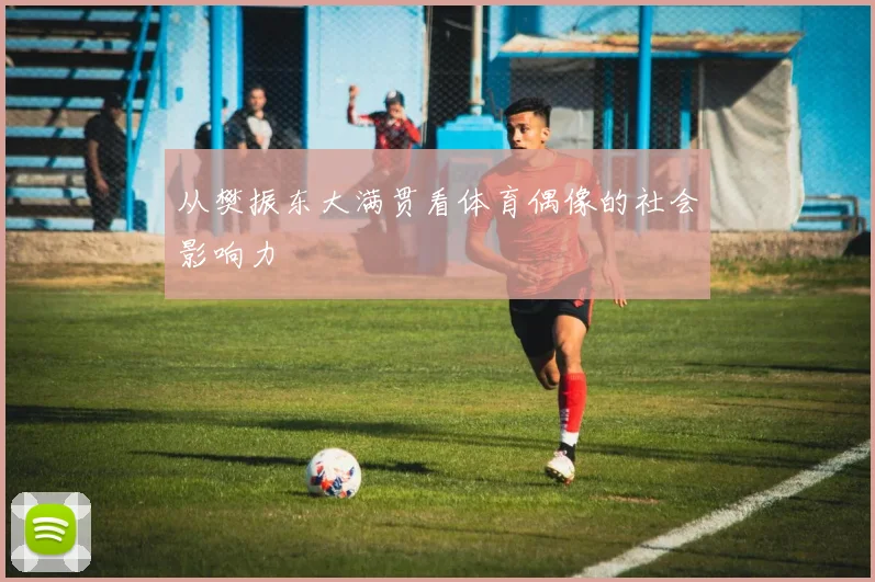 从樊振东大满贯看体育偶像的社会影响力