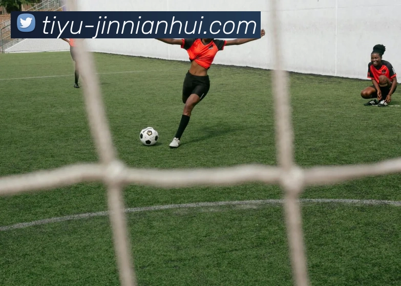 jinnianhui平台生态图